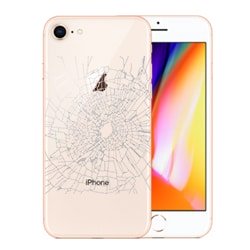 iPhone 8 Plus Glass Replacement
